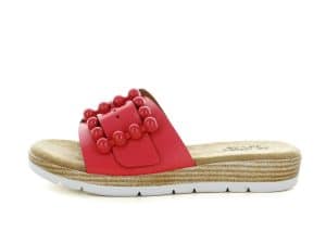 BIO COLOR`S OP104DID CIABATTA DONNA